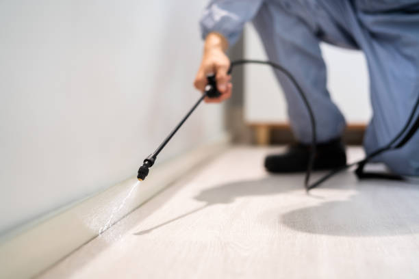 Licensed Pest Control service in Rockwood, MI - Show Me Pest Control