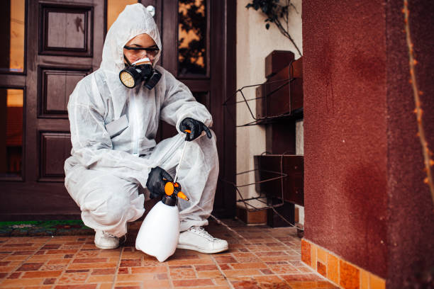 Reliable Ant Control contractor in Rockwood, MI by Show Me Pest Control
