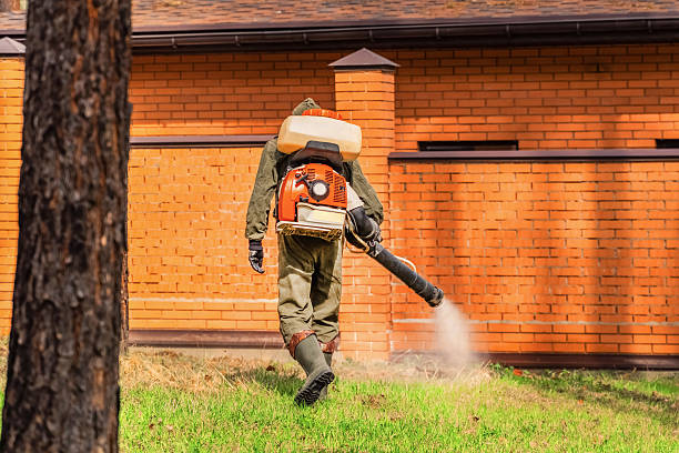 Top rated local Ant Control specialists in Rockwood, MI